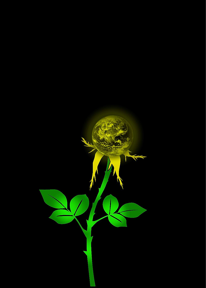 Earth Bloom