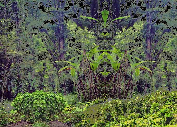 Enchanted Garden