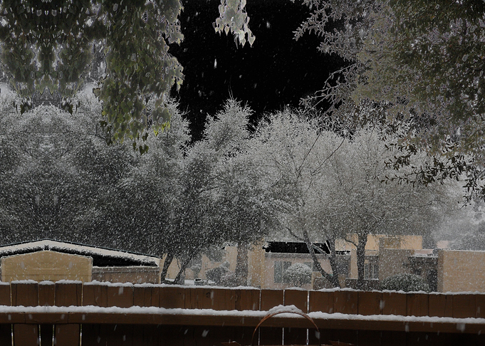 Winter