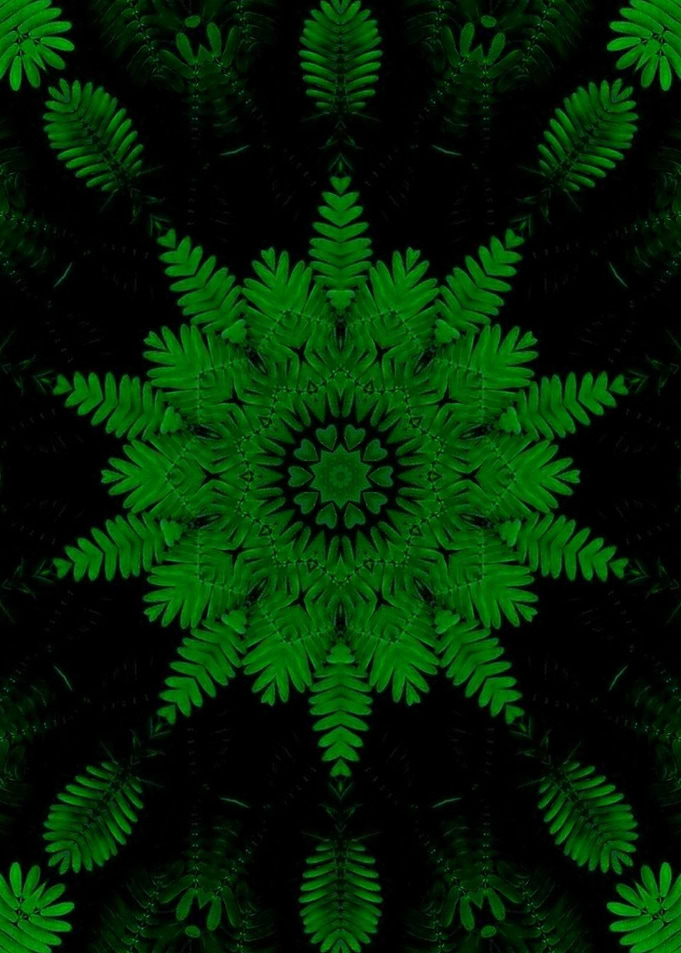 NATURE MatreeX