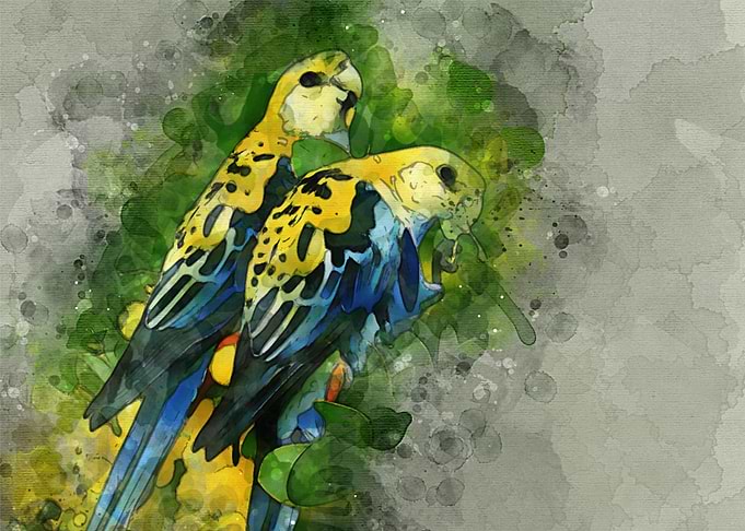 bird