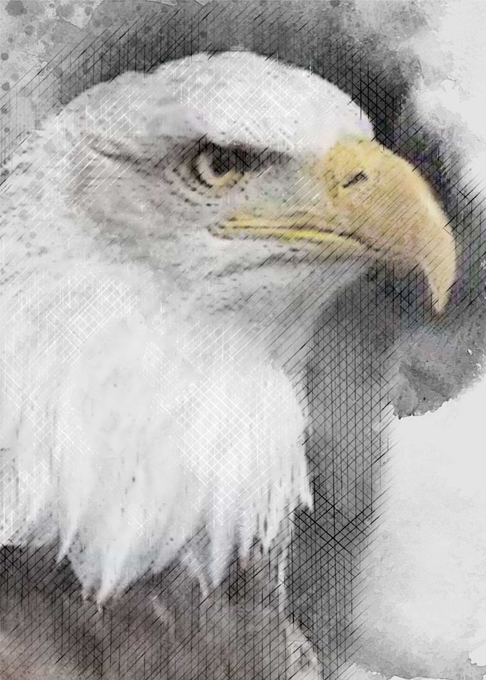 eagle