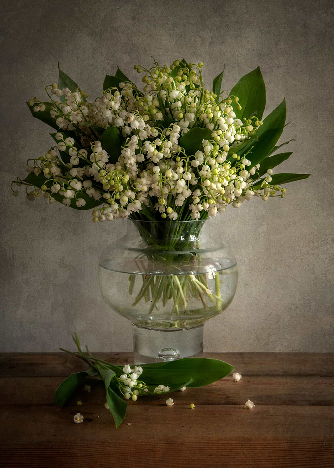 Lily of the valley