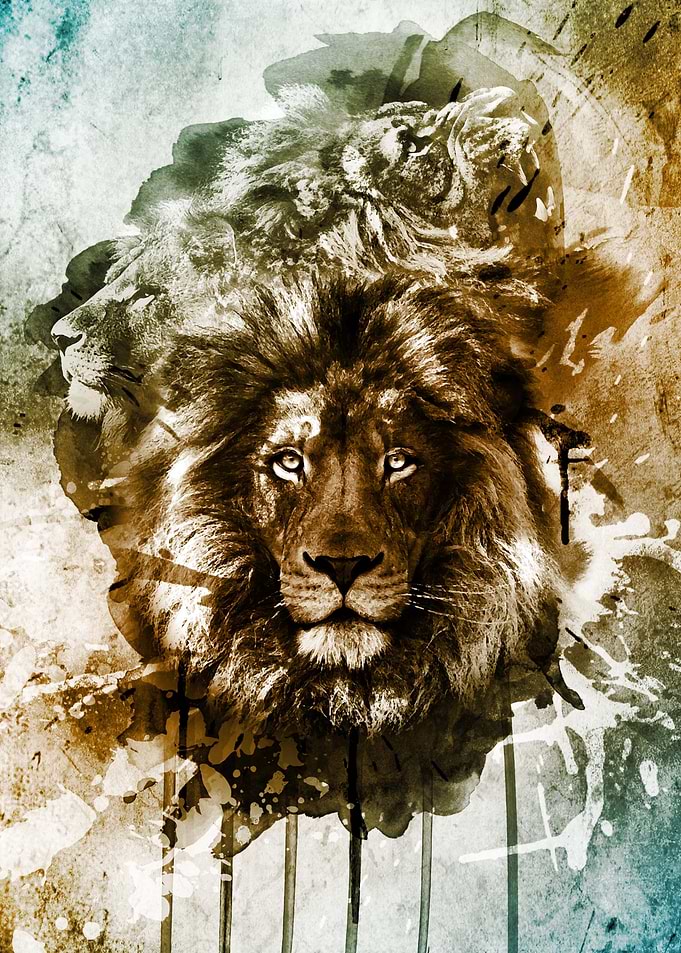 Plight of the Pride