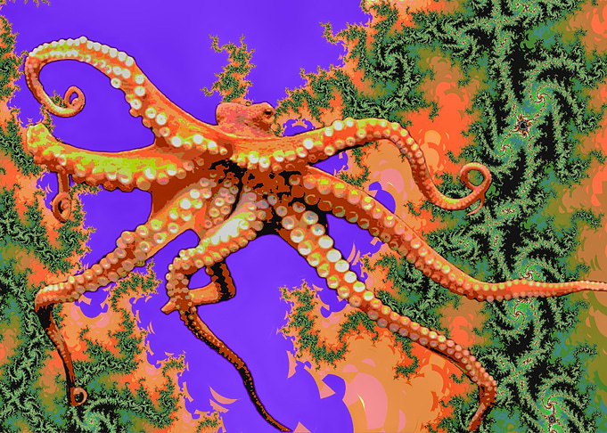 Underwater Garden