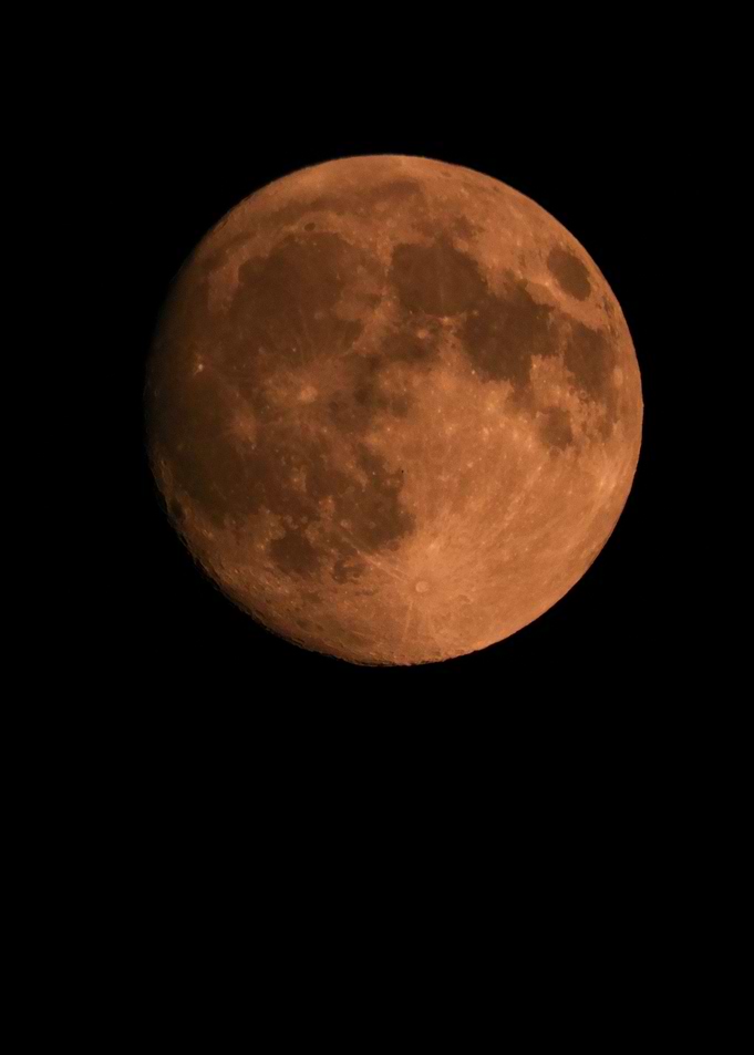 Moon in night sky
