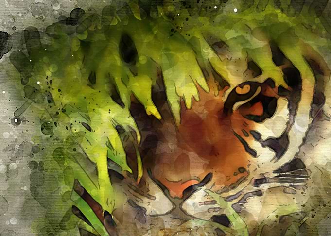 tiger