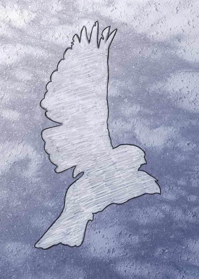 Flying high
