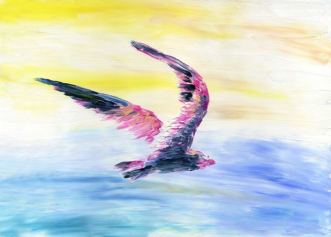 Seagull Flying In The Sky