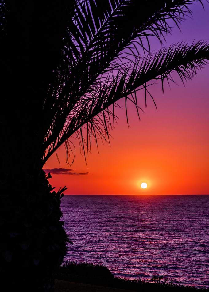 purple sunrise