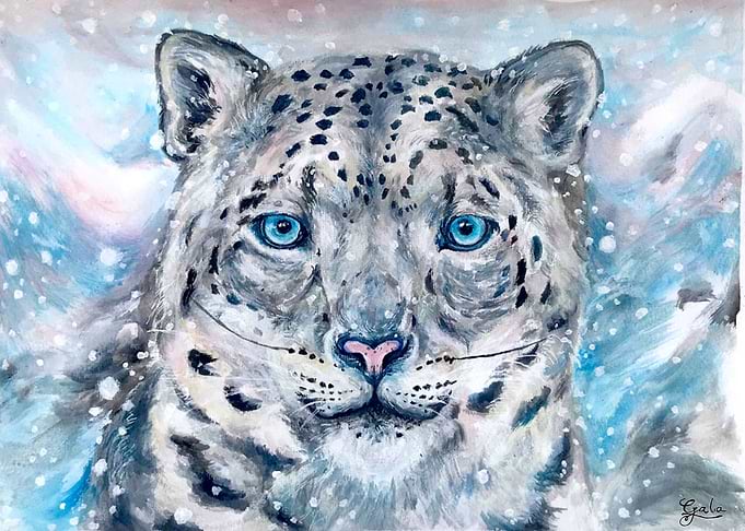 Leopardo de las nieves
