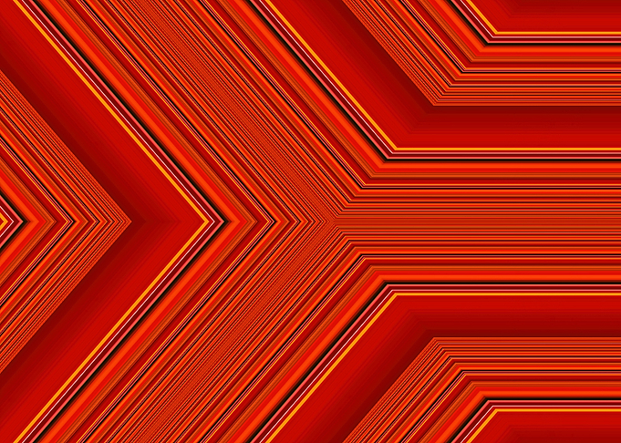 Red Tulip Angles 2