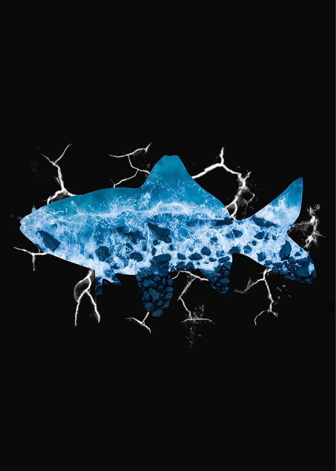 Common Fish
