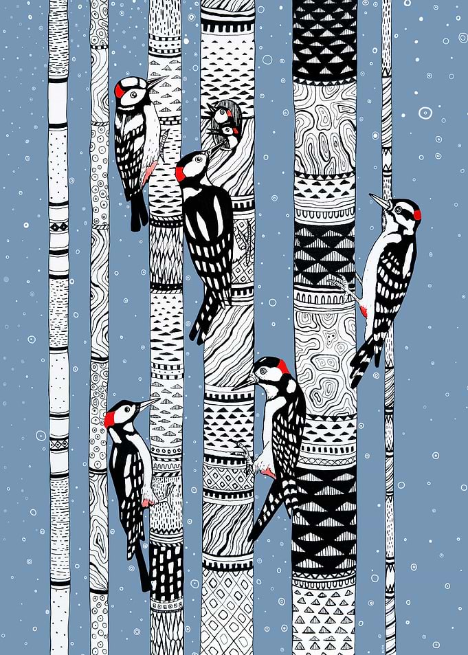 Woodpecker birds in forest