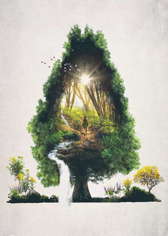 The Road Not Taken