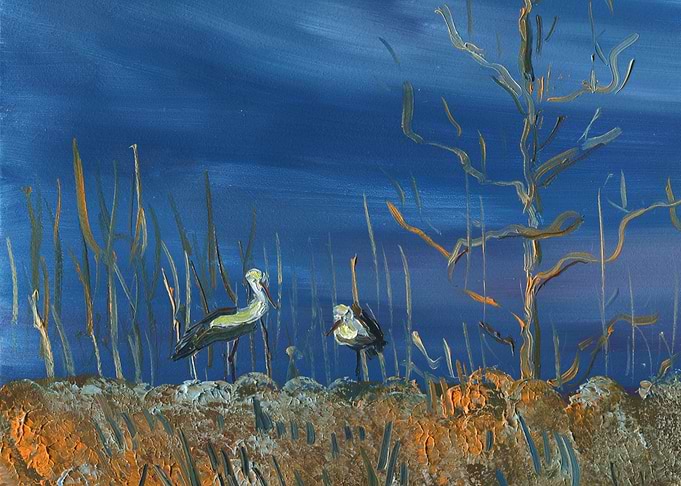 Two Storks On The Field