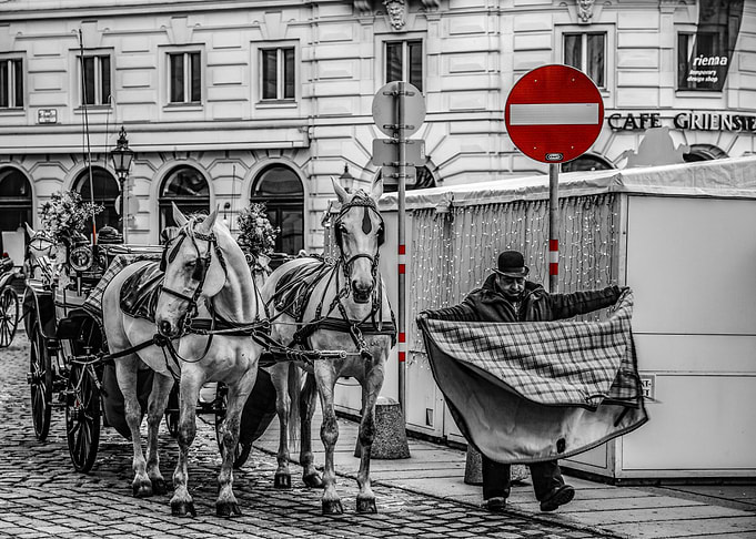 Vienna by day