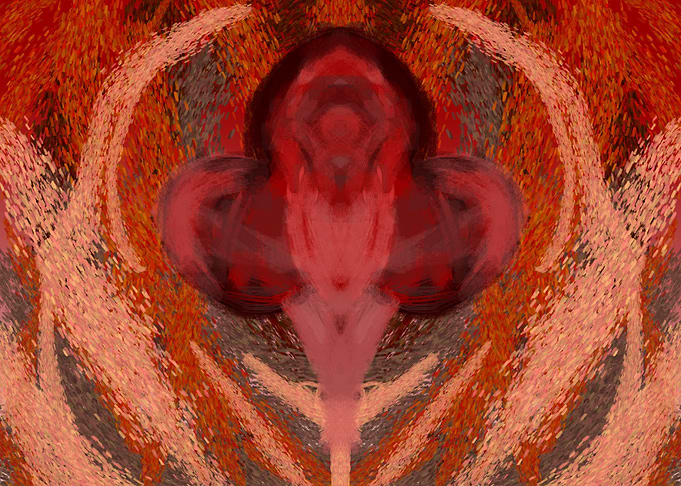 poker varas fire flower