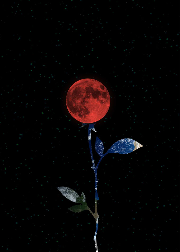 Moon Flower