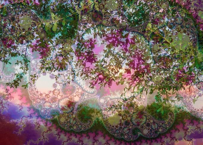 Vibrant Garden