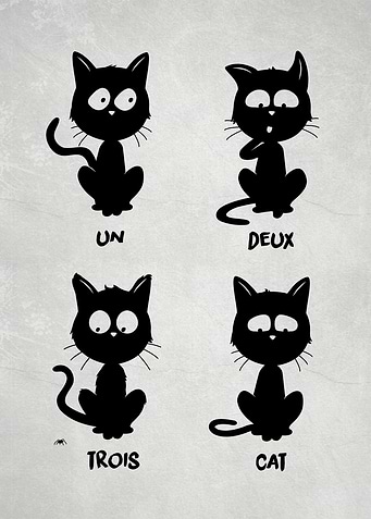 Un deux trois cat