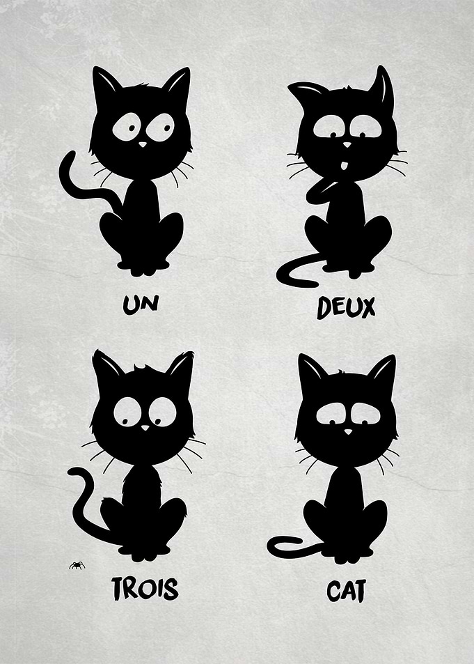 Un deux trois cat