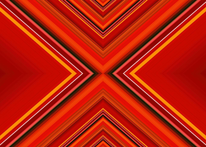 Red Tulip Angles 1