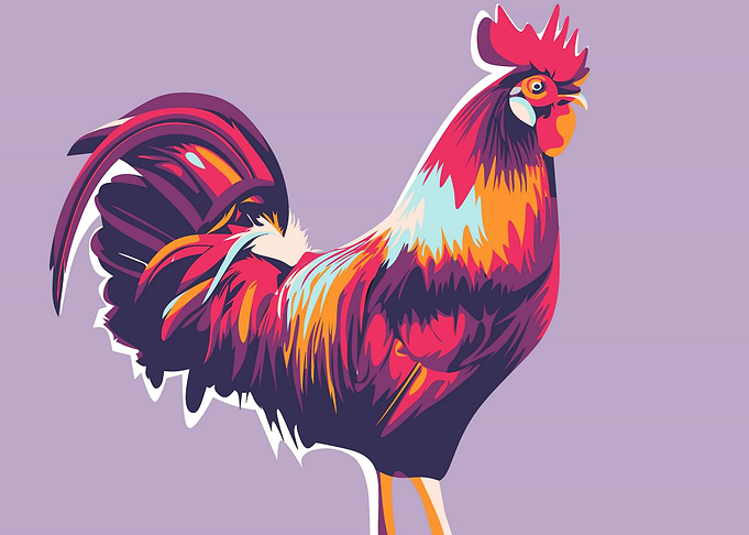 chicken popart style