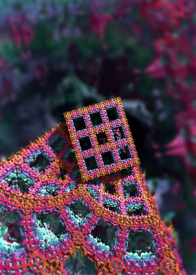 Macrocosmosis