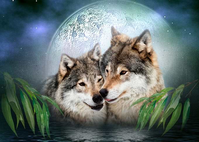 True love
