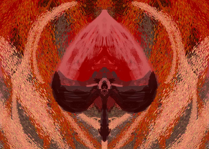 poker swords fire flower