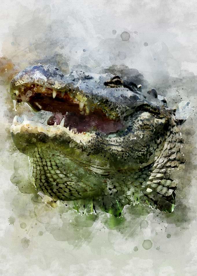 Florida Alligator Painting
