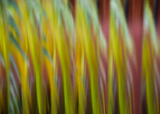 Abstracts