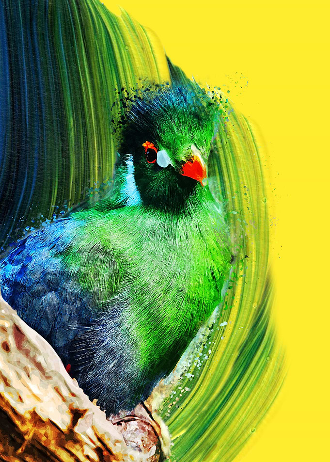 Painted Bird