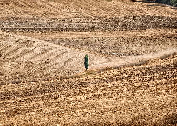 Val dOrcia and cypress