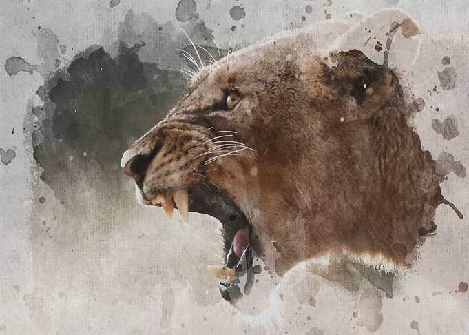 Lion