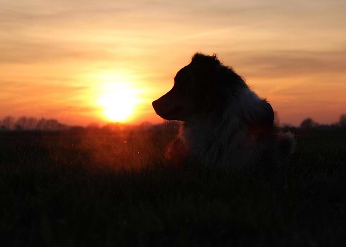 Sun goes down