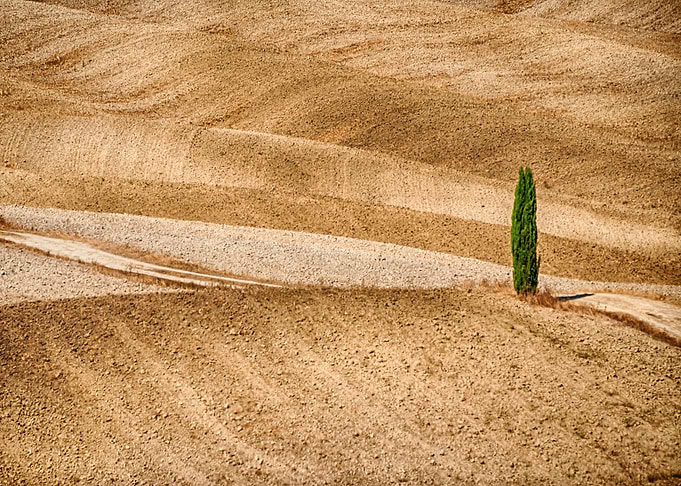 Val dOrcia and cypress