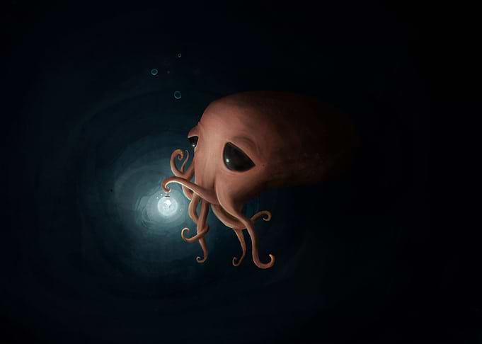 Sleepy Octopus