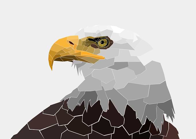 American Eagle