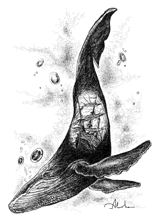 WHALE