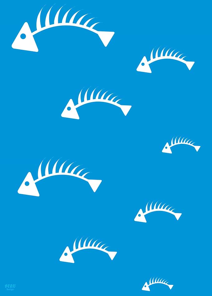 A lot of Fish in the Sea