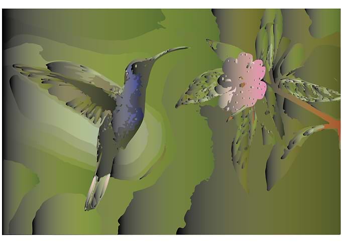 Purple Sunbird