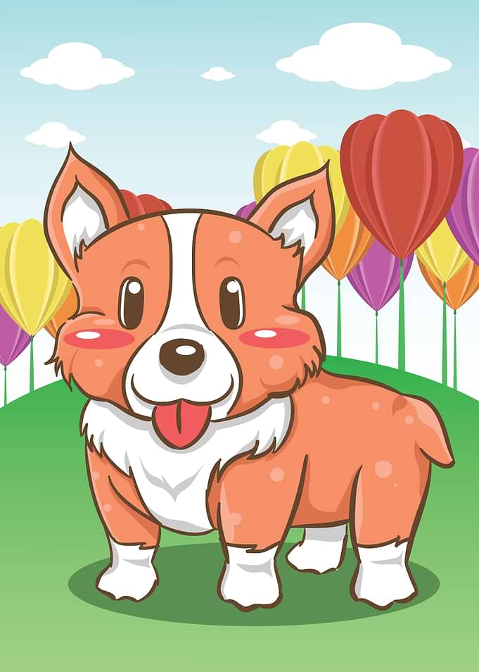 Cute Corgi Dog