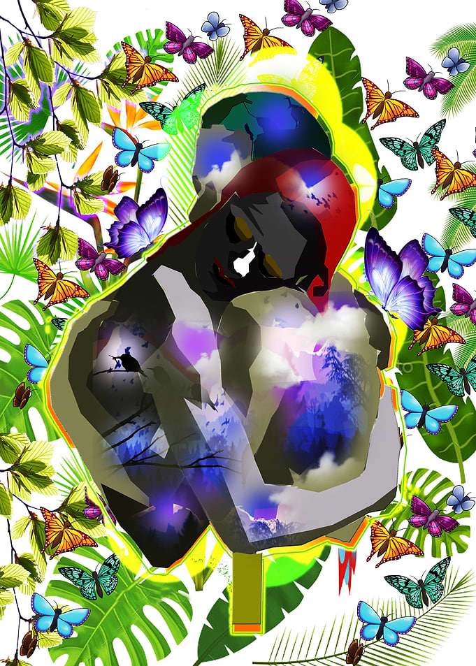 Butterflies