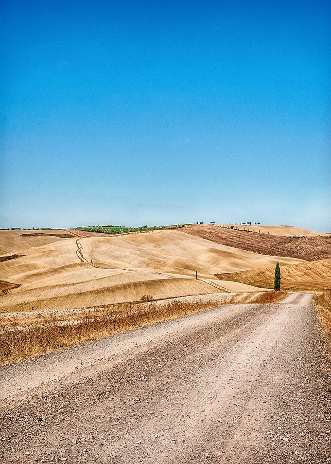 Val dOrcia and cypress