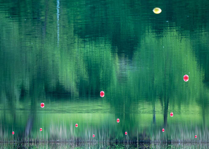 Reflection on the Rotsee