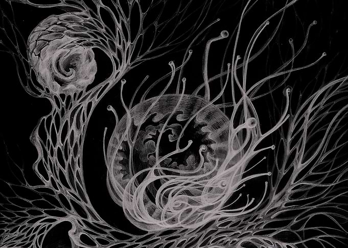Womb