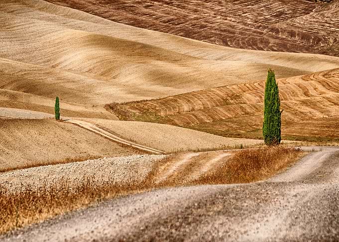 Val dOrcia and cypress