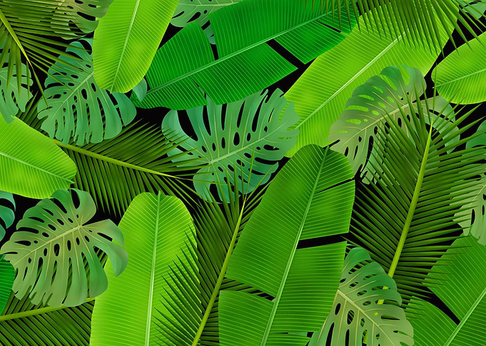 Leaf Pattern Art